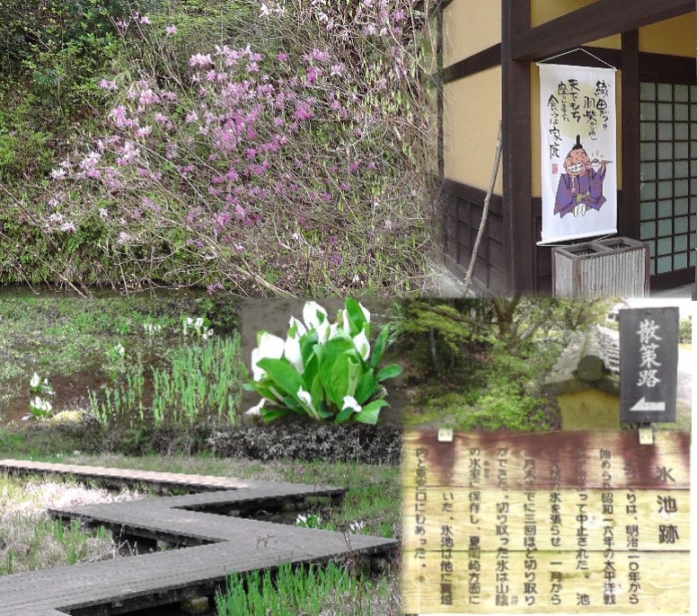 高月院へ行く参道、室町塀越しの右側に散策路がありますがその風景を撮ってみました(帰路)。 天下茶屋の案内板拡大