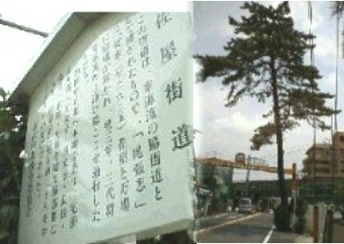 近鉄線と街道が交差する地点に立っていましたが 高架橋工事のためか松も案内もありませんでした。