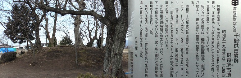 住蓮坊古墳横を西へ進み、一面畠の中小さな木立（左）が見える。