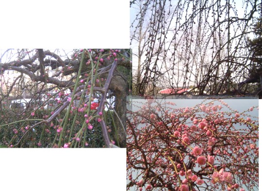 平針駅周辺案内（その１）