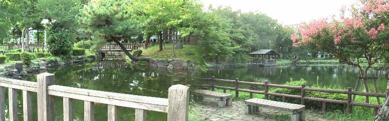昭和９年完成の志賀公園で戦前市内では鶴舞、中村と並ぶ老舗公園でした。名城公園（旧第三師団錬兵場）、 白川公園（市街地で戦災後一時期占領軍家族の住宅）、庄内緑地公園（河川敷で桑の木畑）などは 戦後設立です。