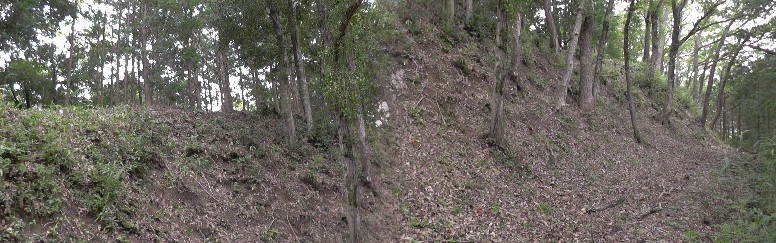椎城跡の土塁と堀(右)。左は椎城跡。