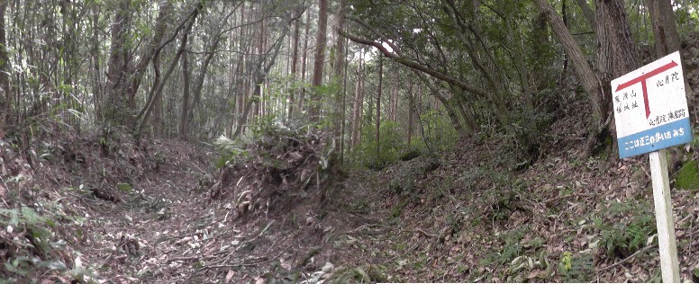 椎城跡へ向かう登山道。