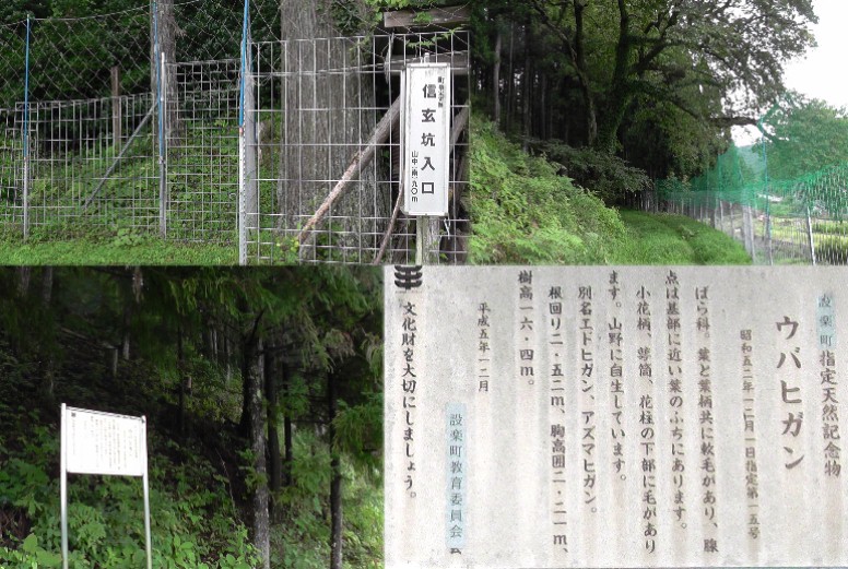 信玄坑の入り口。イノシシ除けの金網の先に入るには道が無く断念。 リンク：奥三河観光ナビ・信玄坑