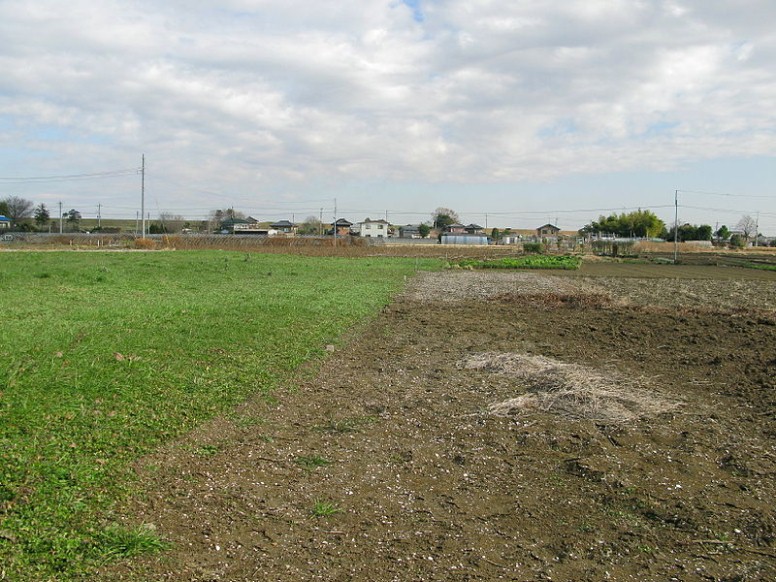 神明貝塚(埼玉県春日部市)。 クリエイティブ・コモンズ 表示-継承ライセンスの下で利用可能です 神明貝塚紹介動画~全編~ 春日部市・神明貝塚と縄文人の暮らし 神明貝塚