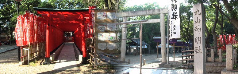 丸山神明社と境内の丸福稲荷大神。駅から南へ約５００ｍ、丸山公園南です。