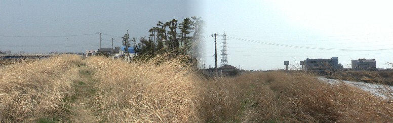 茶屋後神明社西の福田川。左は北上流方面、右は南下流方面を撮る。