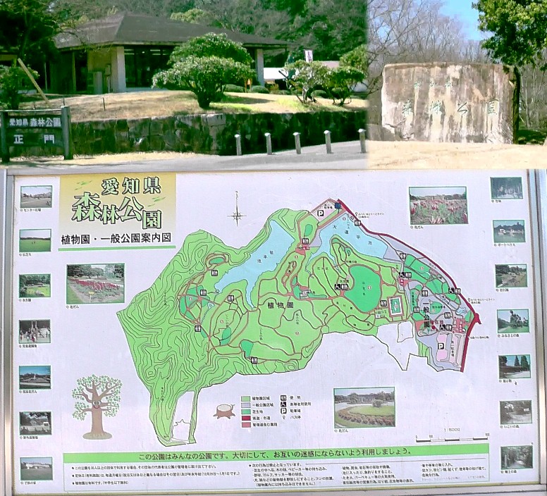 愛知県・森林公園。リンク：愛知県・森林公園
