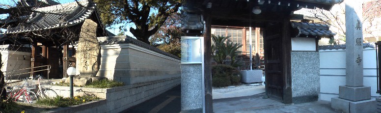 区役所近くの覚円寺(左)と真照寺。