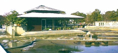 名古屋一の庭園美を誇る白鳥庭園