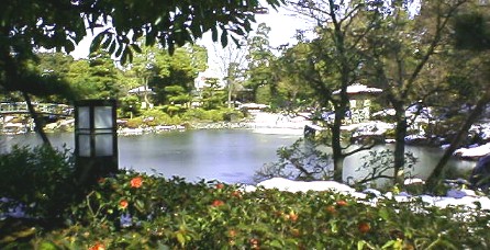 冬の白鳥庭園。