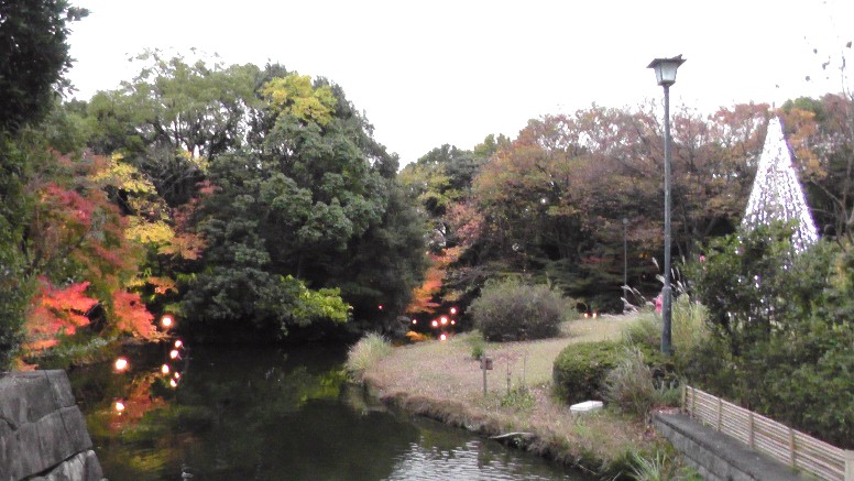 白鳥庭園特集(その1) 名城線神宮西駅下車が便利です。 白鳥庭園の紅葉第1部 2009年11月26日撮影。 第2部(161.7m) 第3部(234.0m) 白鳥庭園は、敷地面積約3.7ヘクタールと市内随一の規模を誇る 日本庭園として平成3年