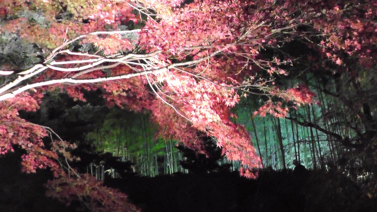 白鳥庭園特集(その1) 名城線神宮西駅下車が便利です。 白鳥庭園の紅葉第1部 2009年11月26日撮影。 第2部(161.7m) 第3部(234.0m) 白鳥庭園は、敷地面積約3.7ヘクタールと市内随一の規模を誇る 日本庭園として平成3年