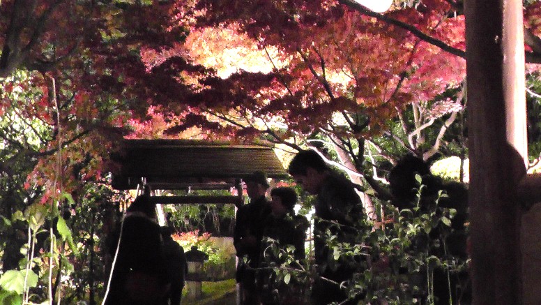 白鳥庭園特集(その1) 名城線神宮西駅下車が便利です。 白鳥庭園の紅葉第1部 2009年11月26日撮影。 第2部(161.7m) 第3部(234.0m) 白鳥庭園は、敷地面積約3.7ヘクタールと市内随一の規模を誇る 日本庭園として平成3年