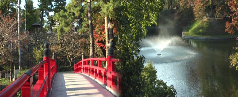 岡崎城内庭園、松の木の向こうに天守閣が見えます。 これより下、平成22年11月17日撮影