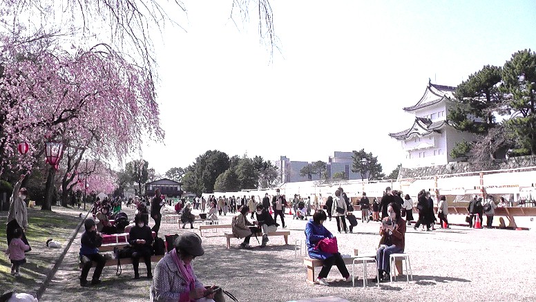 æ¡éãå°äžèµ°è¡ ãã©ãã¿ãªã¥ãŒã 通ãèŠã åå€å±åæ¬äžžåŸ¡æ®¿512 æ°çæ
å ± 2021.03.23æ¥æ®åœ±ãå¹³æ¥ã§ã倧å€ãªè³ããã§ãã ã éã·ã£ãã¯ãªã¹ã»ã¡ã¹å¥ã
ã«å±ç€ºãããŠããŸãã éã·ã£ãã»äºã®äžžåºåã«éèšã43 éã·ã£ããéãã倩å®é£ã