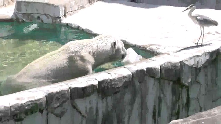 また涼しい表情で欲しそうに眺めてる。詳しくは下記の第３部をご覧下さい。