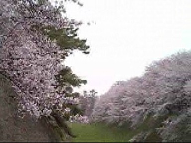 名古屋城正門近くの外堀