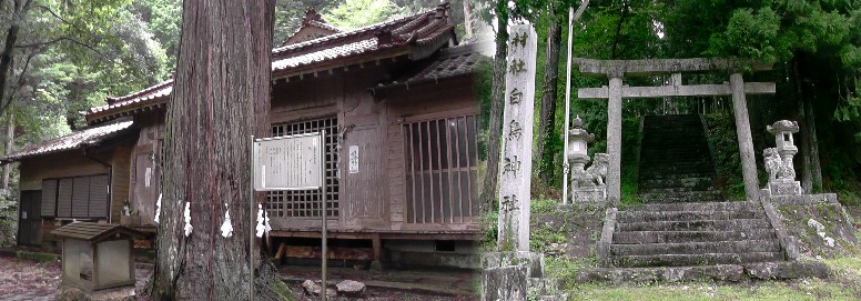 白鳥神社（右）。左は拝殿及び天然記念物のヒノキ。 ヒノキ説明文 津具・花祭り。 Google マップ白鳥神社 。