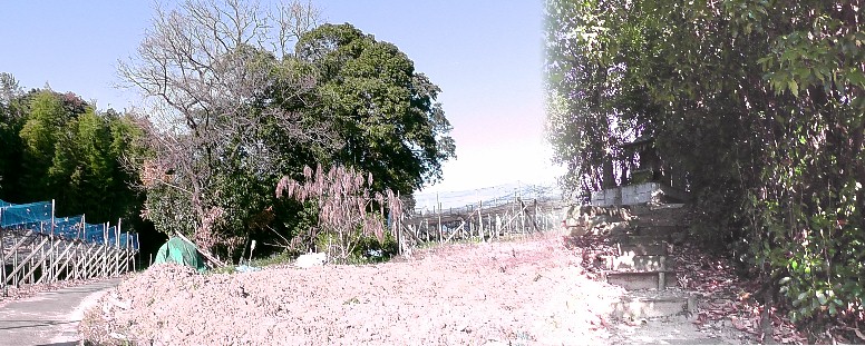 城塚古墳。右写真の奥に祠が建っています。 説明文拡大 城塚古墳