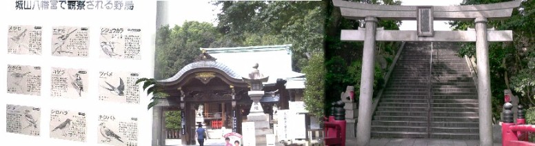 城山八幡宮。リンク：城山八幡宮 由緒略記