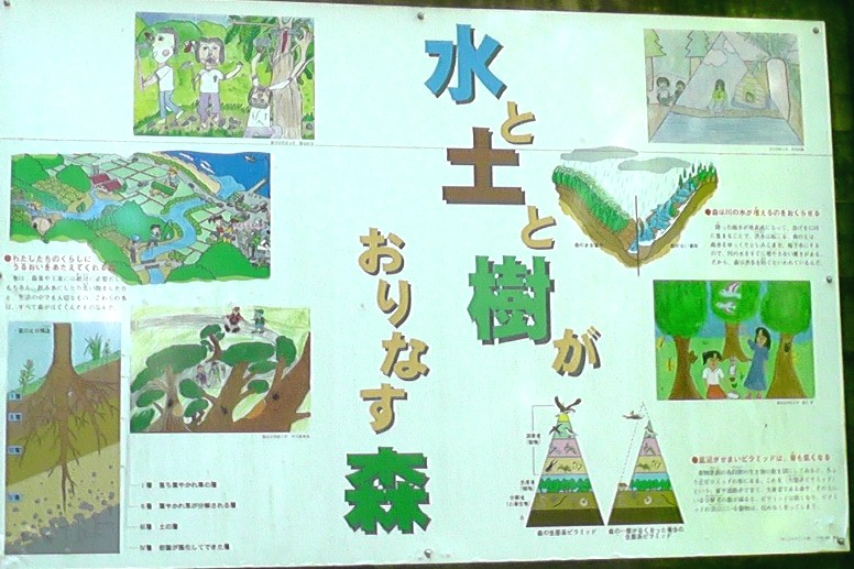 創造の森の案内図。
