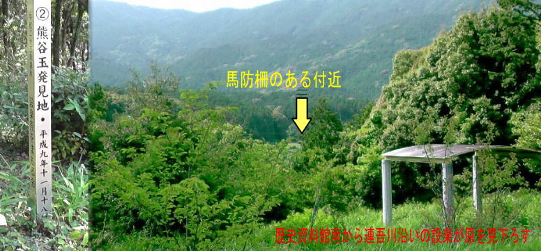 歴史資料館裏から見下ろす馬防柵及び鉄砲構え付近。 歴史資料館裏