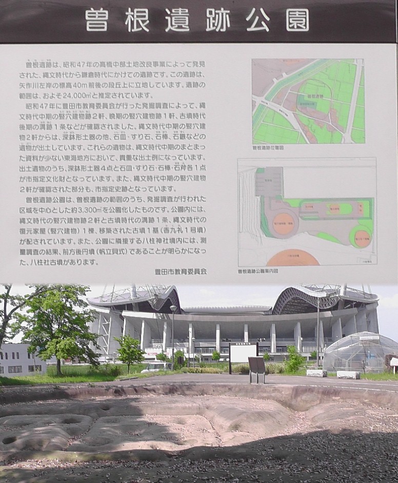 曽根遺跡公園。曽根遺跡から見る豊田スタジアム。 曽根遺跡公園