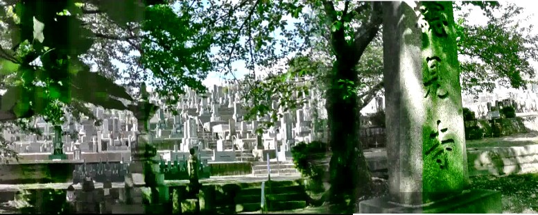 大須・総見寺霊園。関連:総見寺