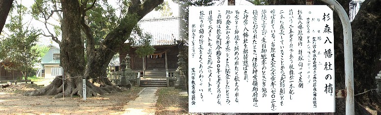 旧東海道から東北に入る杉森八幡社、この付近に西見付があったと記されています。