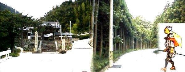 左は坂下宿の法安寺、右は旧東海道坂下宿を下ると間もなく この杉並木がある。当時の風情が偲ばれる。平成10年4月26日撮影