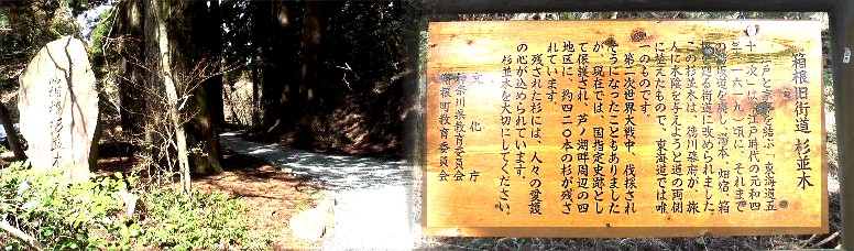 箱根旧街道の杉並木と南入り口の石碑。