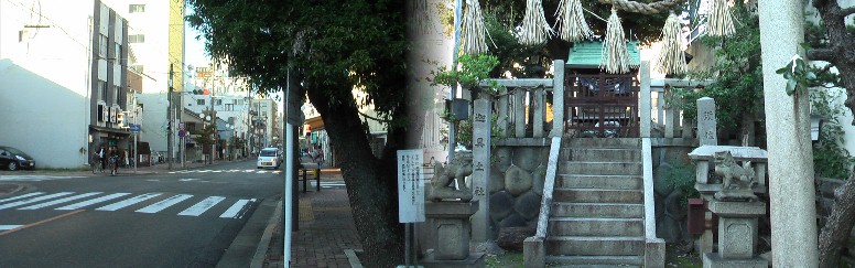 須佐之男社。祭神建速須佐之男命(タテハヤスサノオミコト)・火之迦具土神(ヒノカグツチカミ)。 小じんまりとした社であるが人々の崇敬厚く、前の歩道に御神木が立っているのも面白い。古来より 椿神明社、牧野神明社、稲穂社、厳島神社とともに、牧野5