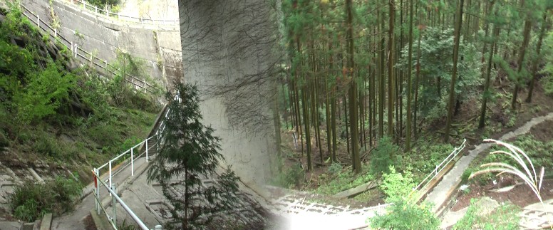 峠道ポケットパーク手前の急な階段(左)と今登ってきた深い谷を見下ろす（右）。