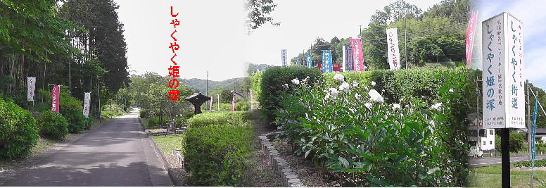 愛知・３８市史跡・社寺めぐりー豊田市(その１１)