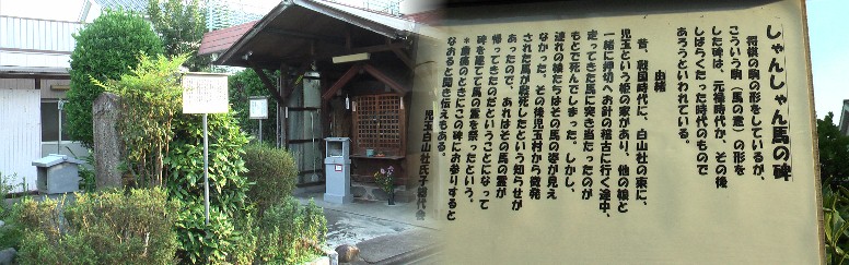 白山稲荷社の東約３０ｍ、下記の子安地蔵と同敷地にあります。