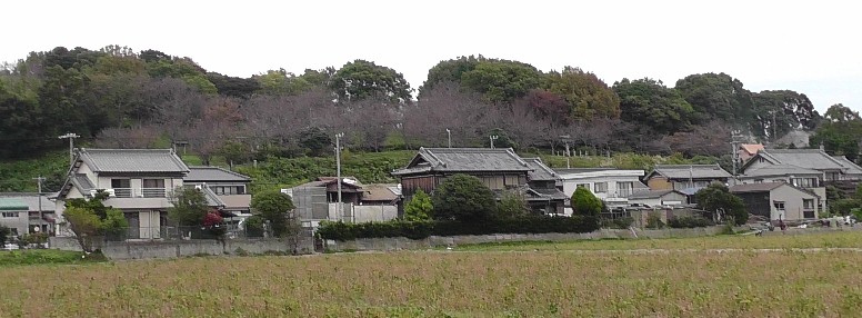 正法寺古墳公園の遠景。西尾市7回目の訪問で撮影。