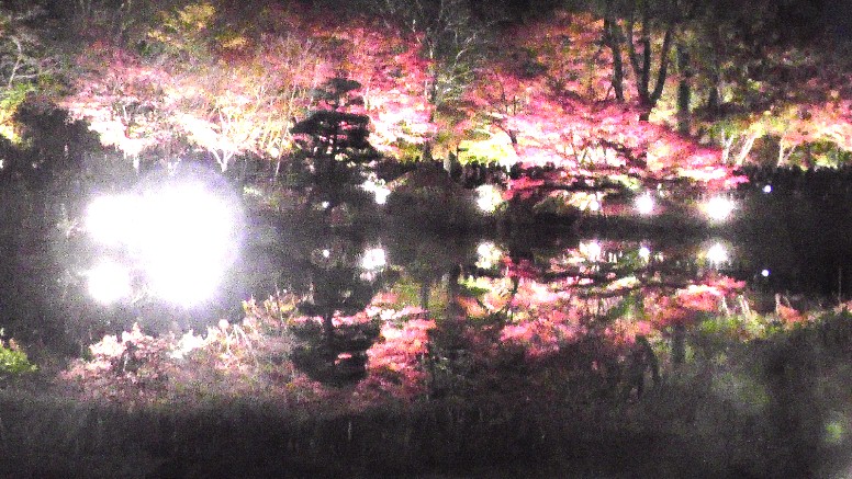 星ケ丘駅周辺案内（その３） 星が丘門にある流木のアート（2019.11.30訪問では見当たりませんでした） 大温室のハイビスカス（no.13） 竹林と竹林見本園（no.10写真左）、薬草の道（no.１２写真右） 中国産植物園林(no.11)