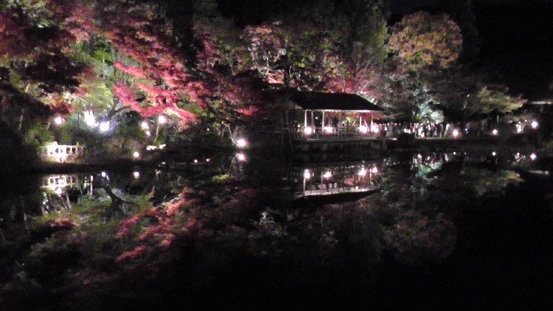 星ケ丘駅周辺案内（その３） 星が丘門にある流木のアート（2019.11.30訪問では見当たりませんでした） 大温室のハイビスカス（no.13） 竹林と竹林見本園（no.10写真左）、薬草の道（no.１２写真右） 中国産植物園林(no.11)