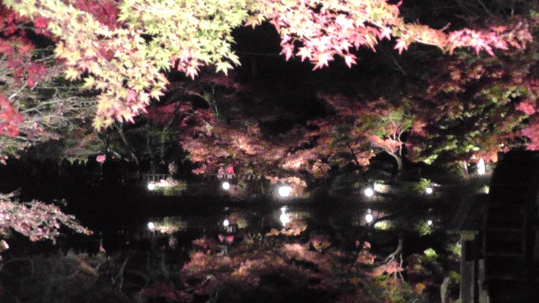 星ケ丘駅周辺案内（その３） 星が丘門にある流木のアート（2019.11.30訪問では見当たりませんでした） 大温室のハイビスカス（no.13） 竹林と竹林見本園（no.10写真左）、薬草の道（no.１２写真右） 中国産植物園林(no.11)