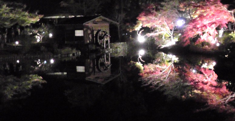 星ケ丘駅周辺案内（その３） 星が丘門にある流木のアート（2019.11.30訪問では見当たりませんでした） 大温室のハイビスカス（no.13） 竹林と竹林見本園（no.10写真左）、薬草の道（no.１２写真右） 中国産植物園林(no.11)