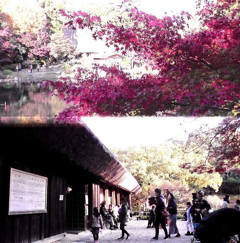 星ケ丘駅周辺案内（その３） 星が丘門にある流木のアート（2019.11.30訪問では見当たりませんでした） 大温室のハイビスカス（no.13） 竹林と竹林見本園（no.10写真左）、薬草の道（no.１２写真右） 中国産植物園林(no.11)