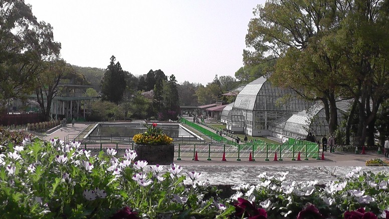 春の東山植物園モノレール往復乗車。 第1部53。 第2部。 第3部