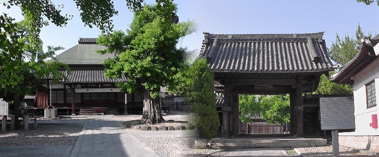 称名寺。家康公幼名「竹千代」