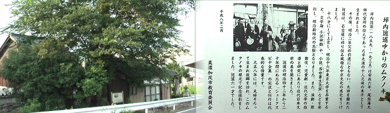 虚空蔵堂のすぐ横のムクノキの大木。