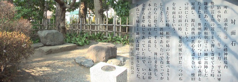 源頼朝は関東・伊豆を平定し、この黄瀬川八幡の地に本陣を造営しました。 右は八幡神社前の旧東海道。 八幡神社：左の石の右後ろに立つ木が「ねじり柿」。