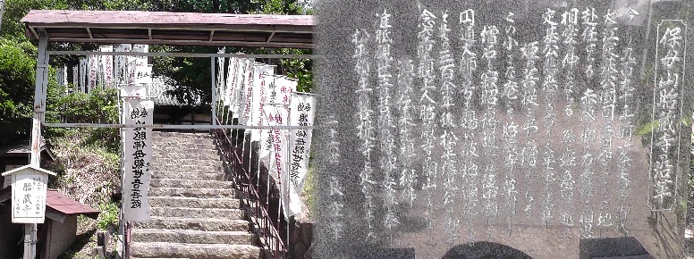 胎蔵寺。 胎蔵寺