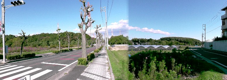 高根山古窯跡群のある高根山の風景。 高根山の風景・撮影場所/山之神社