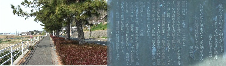 浜名の松並木の途中に建つ句碑。