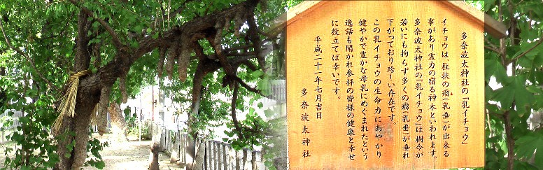 多奈波太神社境内、２巡目訪問で新たに追加です。２０１２．９．２５撮影。 多奈波太神社